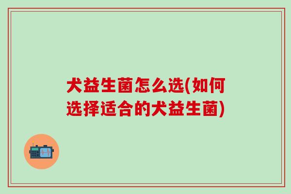 犬益生菌怎么选(如何选择适合的犬益生菌)