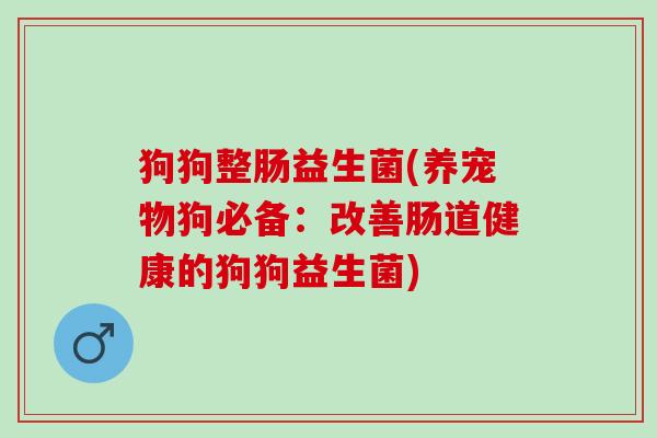 狗狗整肠益生菌(养宠物狗必备：改善肠道健康的狗狗益生菌)