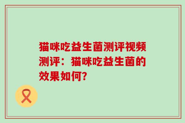 猫咪吃益生菌测评视频测评：猫咪吃益生菌的效果如何？