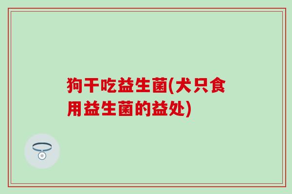 狗干吃益生菌(犬只食用益生菌的益处)