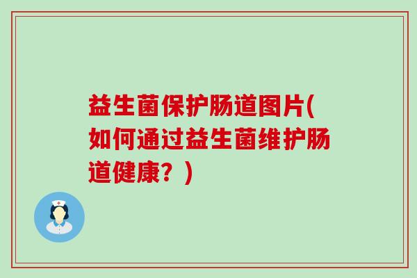 益生菌保护肠道图片(如何通过益生菌维护肠道健康？)