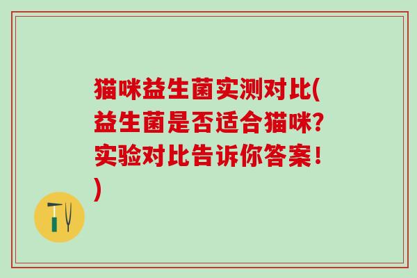猫咪益生菌实测对比(益生菌是否适合猫咪？实验对比告诉你答案！)