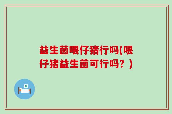 益生菌喂仔猪行吗(喂仔猪益生菌可行吗？)
