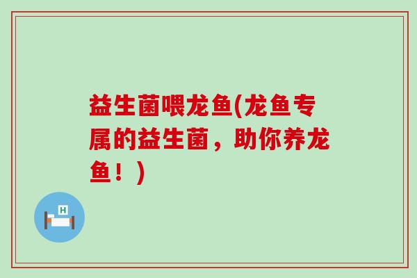 益生菌喂龙鱼(龙鱼专属的益生菌，助你养龙鱼！)
