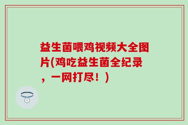 益生菌喂鸡视频大全图片(鸡吃益生菌全纪录，一网打尽！)