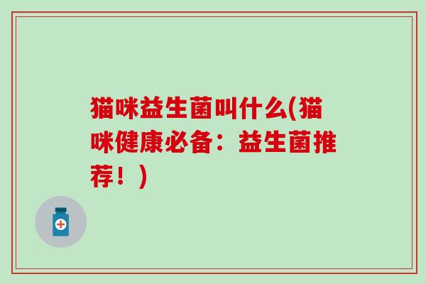猫咪益生菌叫什么(猫咪健康必备：益生菌推荐！)