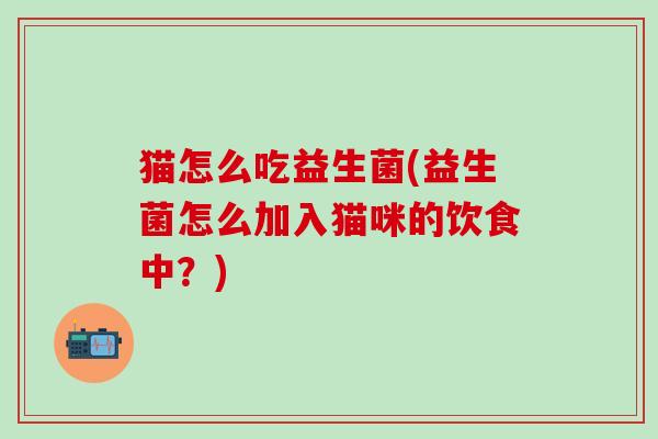 猫怎么吃益生菌(益生菌怎么加入猫咪的饮食中？)