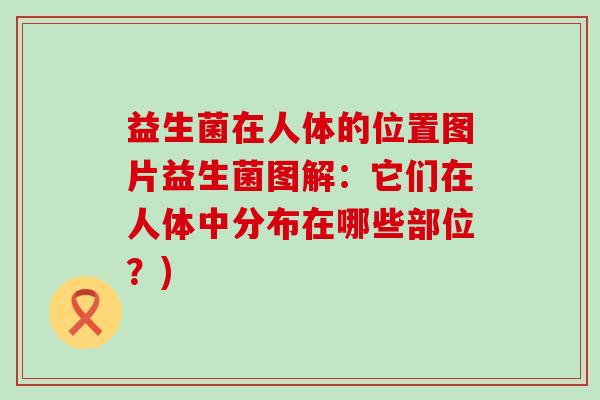 益生菌在人体的位置图片益生菌图解：它们在人体中分布在哪些部位？)