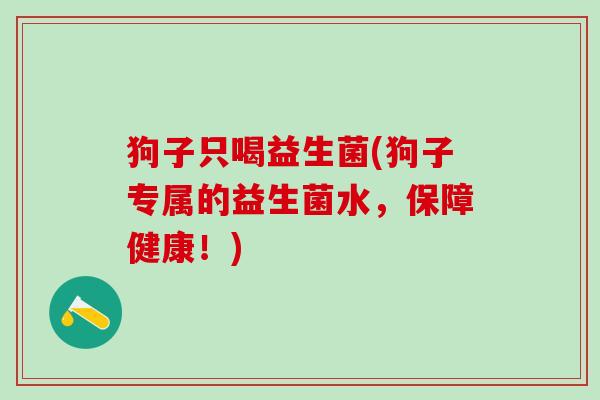 狗子只喝益生菌(狗子专属的益生菌水，保障健康！)