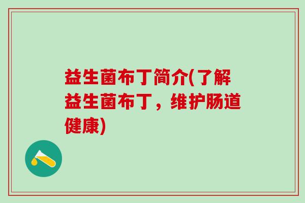 益生菌布丁简介(了解益生菌布丁，维护肠道健康)