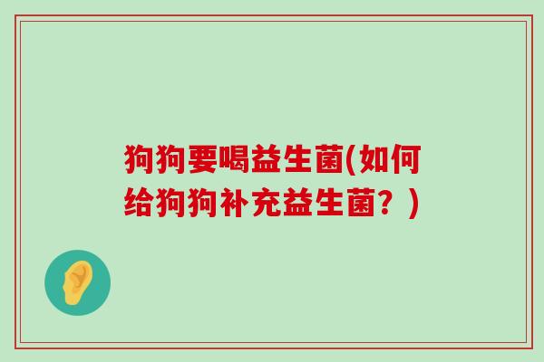 狗狗要喝益生菌(如何给狗狗补充益生菌？)