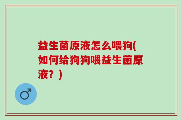 益生菌原液怎么喂狗(如何给狗狗喂益生菌原液？)