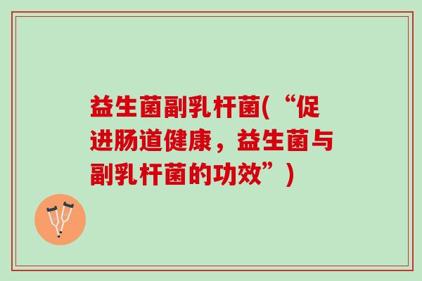 益生菌副乳杆菌(“促进肠道健康，益生菌与副乳杆菌的功效”)