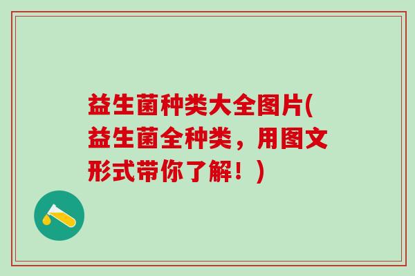 益生菌种类大全图片(益生菌全种类,用图文形式带你了解!) 益生菌种类大全图片(益生菌全种类,用图文形式带你了解!)