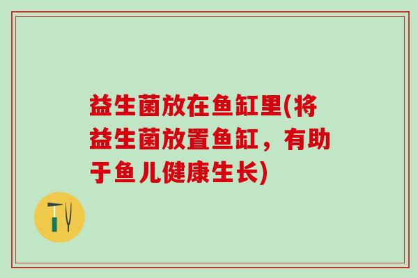 益生菌放在鱼缸里(将益生菌放置鱼缸，有助于鱼儿健康生长)
