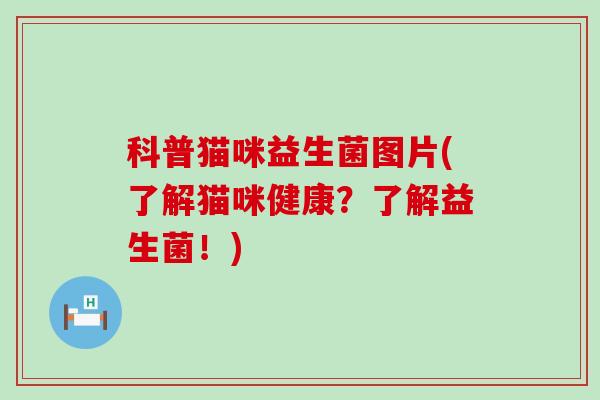 科普猫咪益生菌图片(了解猫咪健康？了解益生菌！)