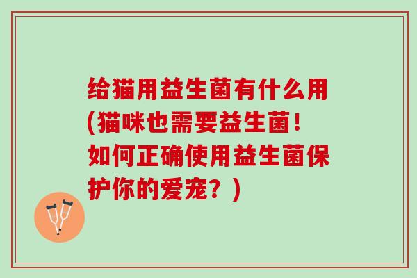 给猫用益生菌有什么用(猫咪也需要益生菌！如何正确使用益生菌保护你的爱宠？)