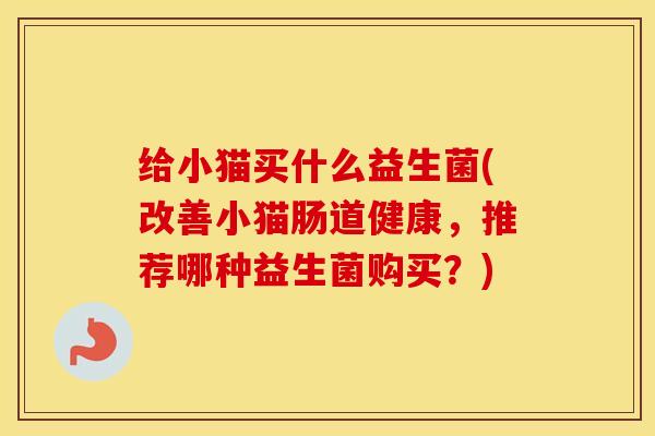 给小猫买什么益生菌(改善小猫肠道健康，推荐哪种益生菌购买？)