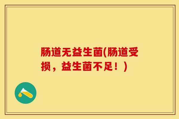 肠道无益生菌(肠道受损，益生菌不足！)