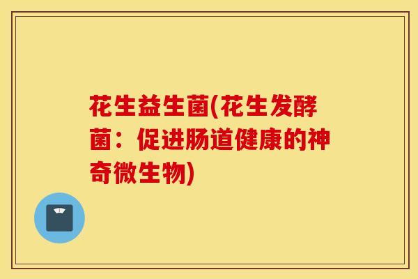 花生益生菌(花生发酵菌：促进肠道健康的神奇微生物)
