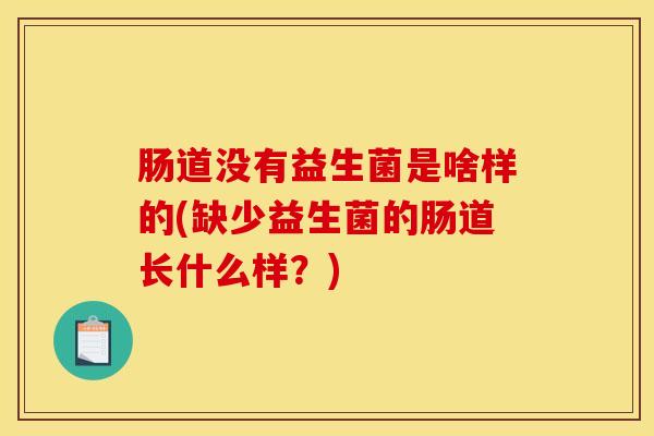 肠道没有益生菌是啥样的(缺少益生菌的肠道长什么样？)