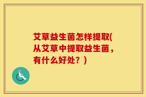 艾草益生菌怎样提取(从艾草中提取益生菌，有什么好处？)