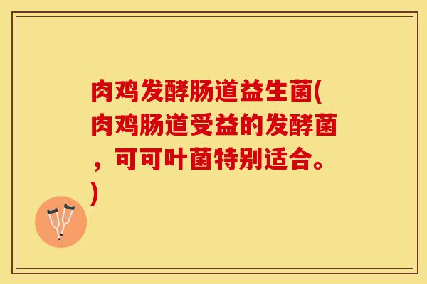 肉鸡发酵肠道益生菌(肉鸡肠道受益的发酵菌，可可叶菌特别适合。)