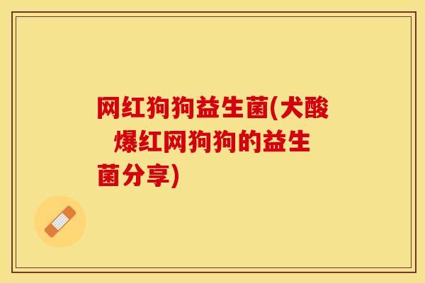 网红狗狗益生菌(犬酸  爆红网狗狗的益生菌分享)