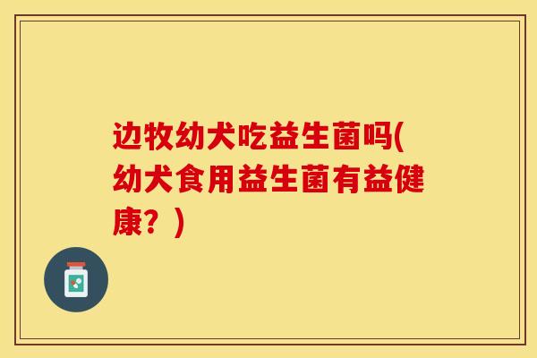 边牧幼犬吃益生菌吗(幼犬食用益生菌有益健康？)