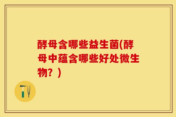 酵母含哪些益生菌(酵母中蕴含哪些好处微生物？)