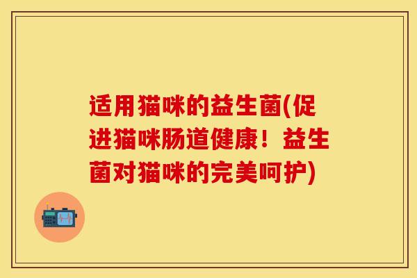 适用猫咪的益生菌(促进猫咪肠道健康！益生菌对猫咪的完美呵护)