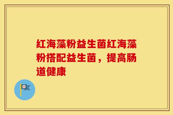 红海藻粉益生菌红海藻粉搭配益生菌，提高肠道健康