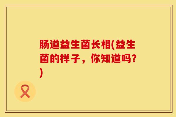 肠道益生菌长相(益生菌的样子,你知道吗?) 肠道益生菌长相(益生菌的样子,你知道吗?)