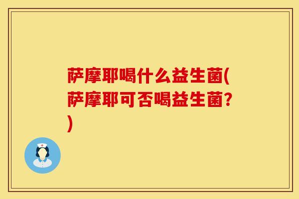 萨摩耶喝什么益生菌(萨摩耶可否喝益生菌?) 萨摩耶喝什么益生菌(萨摩耶可否喝益生菌?)