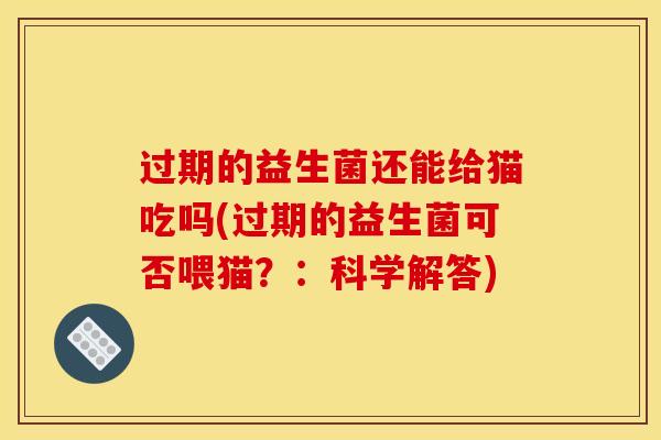 过期的益生菌还能给猫吃吗(过期的益生菌可否喂猫?:科学解答) 过期的益生菌还能给猫吃吗(过期的益生菌可否喂猫?:科学解答)