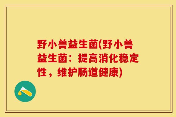 野小兽益生菌(野小兽益生菌:提高消化稳定性,维护肠道健康) 野小兽益生菌(野小兽益生菌:提高消化稳定性,维护肠道健康)
