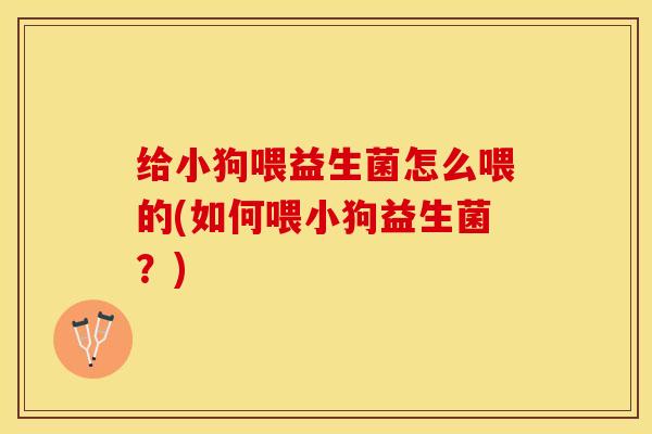 给小狗喂益生菌怎么喂的(如何喂小狗益生菌？)