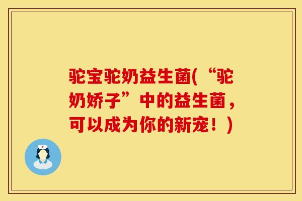 驼宝驼奶益生菌(“驼奶娇子”中的益生菌，可以成为你的新宠！)