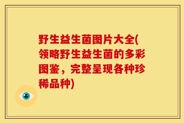 野生益生菌图片大全(领略野生益生菌的多彩图鉴,完整呈现各种珍稀品种) 野生益生菌图片大全(领略野生益生菌的多彩图鉴,完整呈现各种珍稀品种)