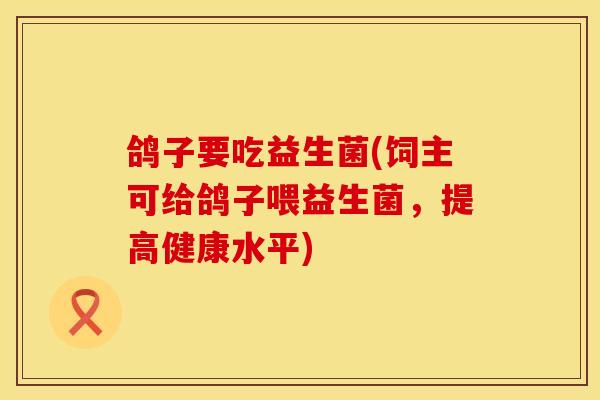 鸽子要吃益生菌(饲主可给鸽子喂益生菌，提高健康水平)