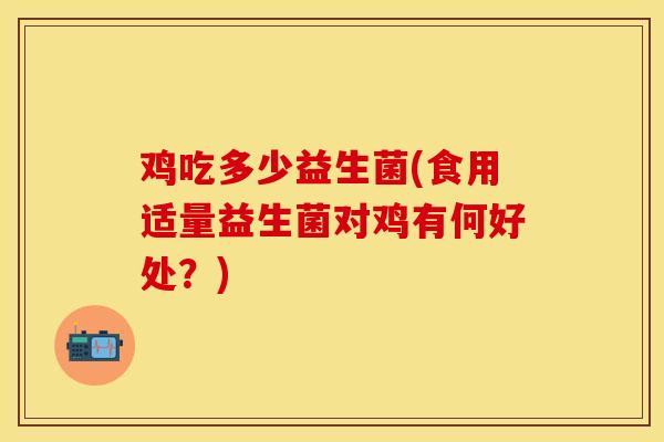 鸡吃多少益生菌(食用适量益生菌对鸡有何好处？)