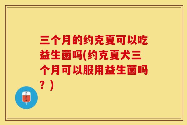 三个月的约克夏可以吃益生菌吗(约克夏犬三个月可以服用益生菌吗？)