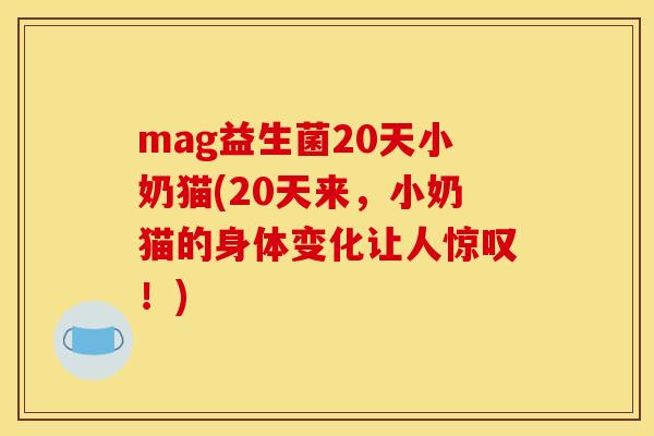 mag益生菌20天小奶猫(20天来，小奶猫的身体变化让人惊叹！)