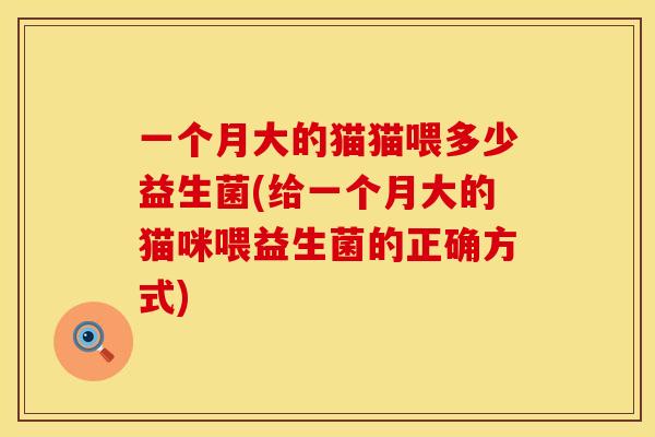 一个月大的猫猫喂多少益生菌(给一个月大的猫咪喂益生菌的正确方式)