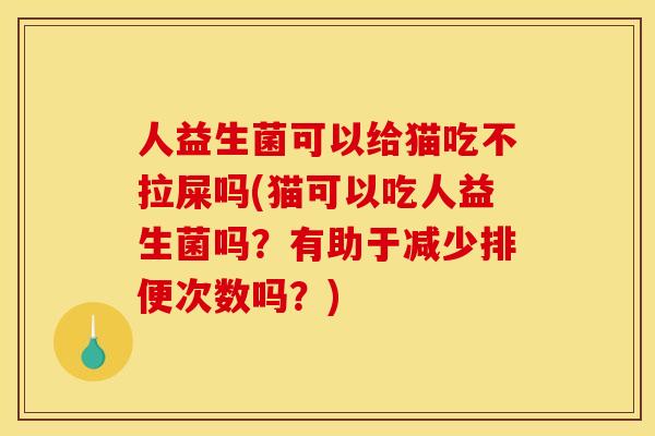 人益生菌可以给猫吃不拉屎吗(猫可以吃人益生菌吗?有助于减少排便次数吗?) 人益生菌可以给猫吃不拉屎吗(猫可以吃人益生菌吗?有助于减少排便次数吗?)