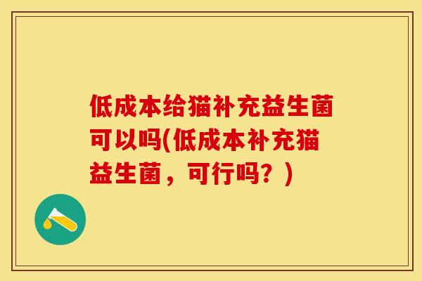 低成本给猫补充益生菌可以吗(低成本补充猫益生菌，可行吗？)