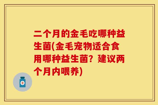 二个月的金毛吃哪种益生菌(金毛宠物适合食用哪种益生菌?建议两个月内喂养) 二个月的金毛吃哪种益生菌(金毛宠物适合食用哪种益生菌?建议两个月内喂养)