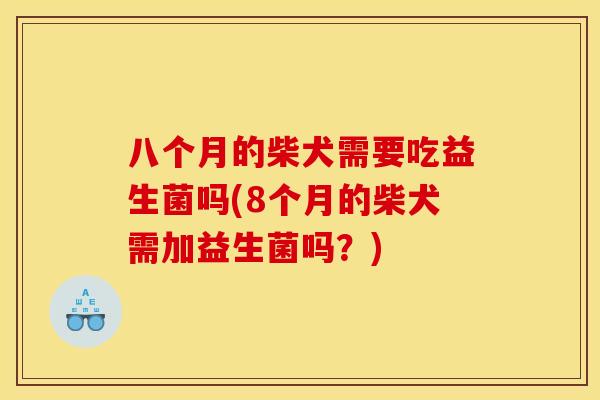 八个月的柴犬需要吃益生菌吗(8个月的柴犬需加益生菌吗？)