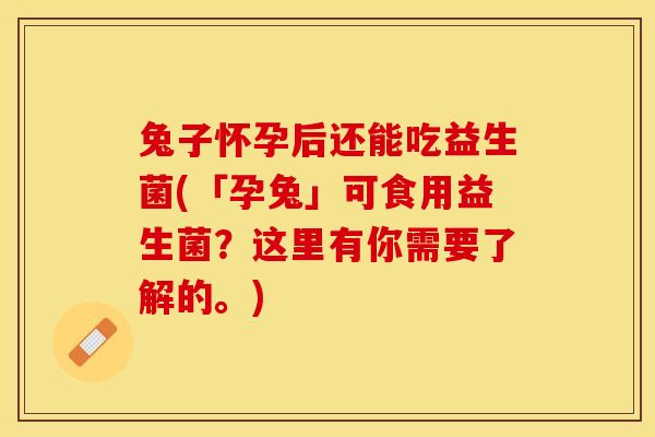 兔子怀孕后还能吃益生菌(「孕兔」可食用益生菌？这里有你需要了解的。)
