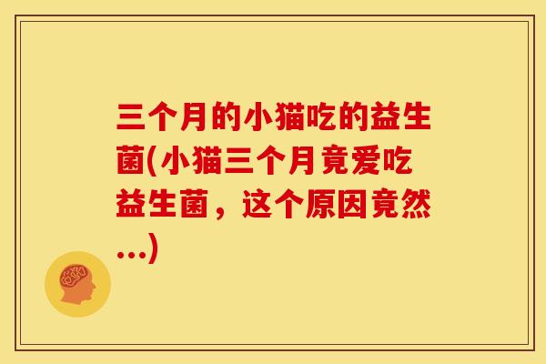 三个月的小猫吃的益生菌(小猫三个月竟爱吃益生菌，这个原因竟然...)